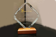 Elkem Silicones Wins Ringier Technology Innovation Award Again